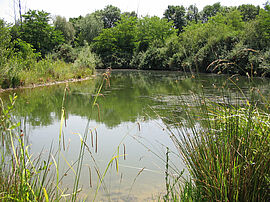 Agrandir l'image (fenêtre modale)