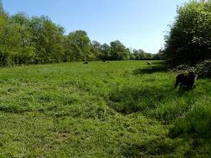 Le Chemin de la biodiversité à Fleurance