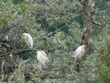 Le Lac de l’Astarac