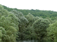 Le Lac de l’Astarac